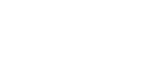 Wise Construction Services